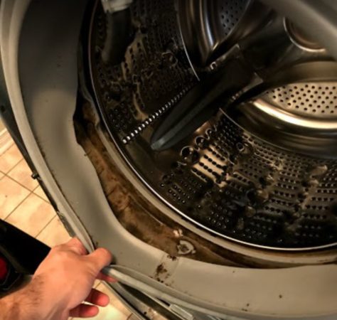 moldy washing machine
